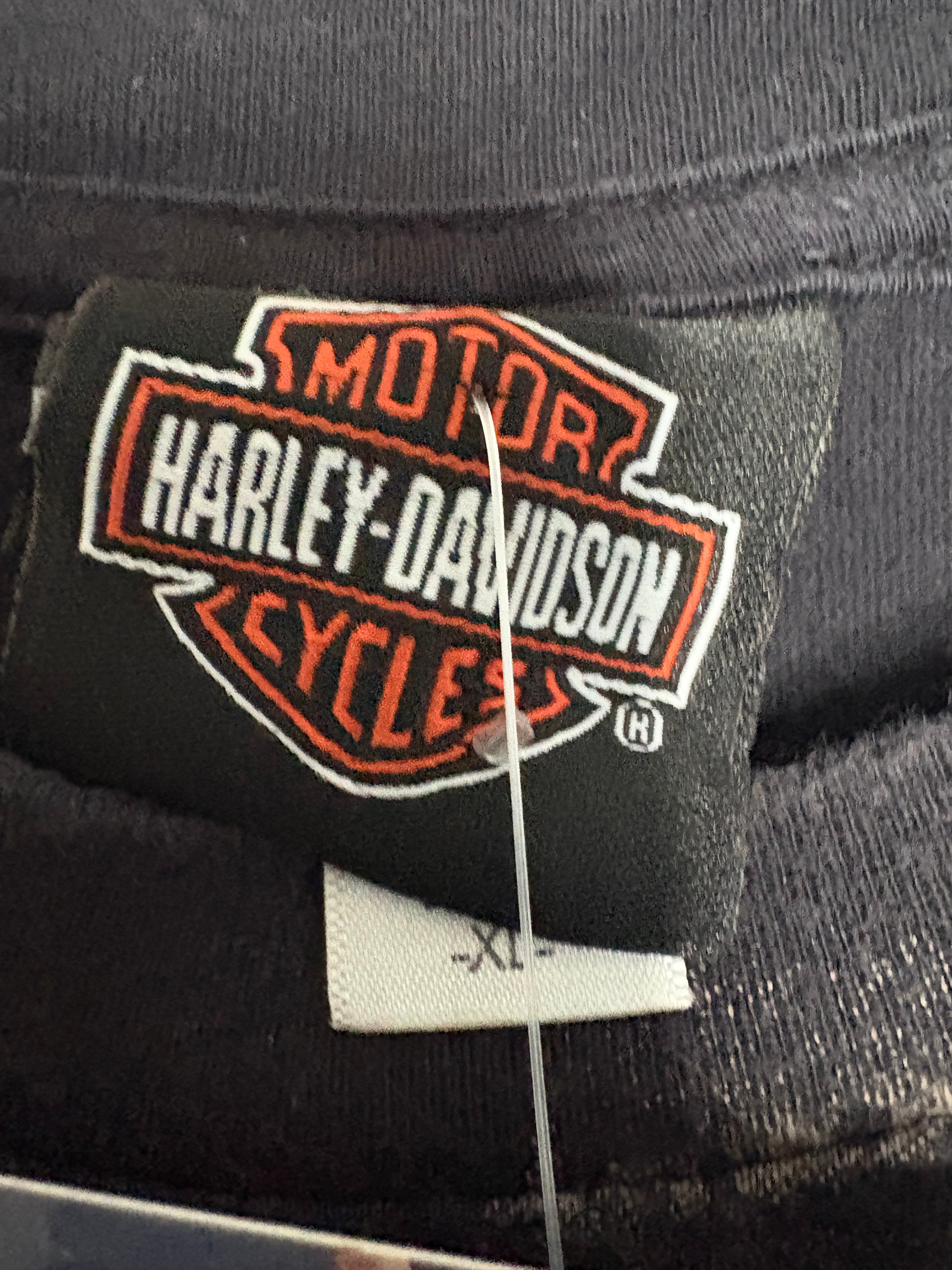 Harley Davidson "Ride Hard" 2009 Skull T-Shirt