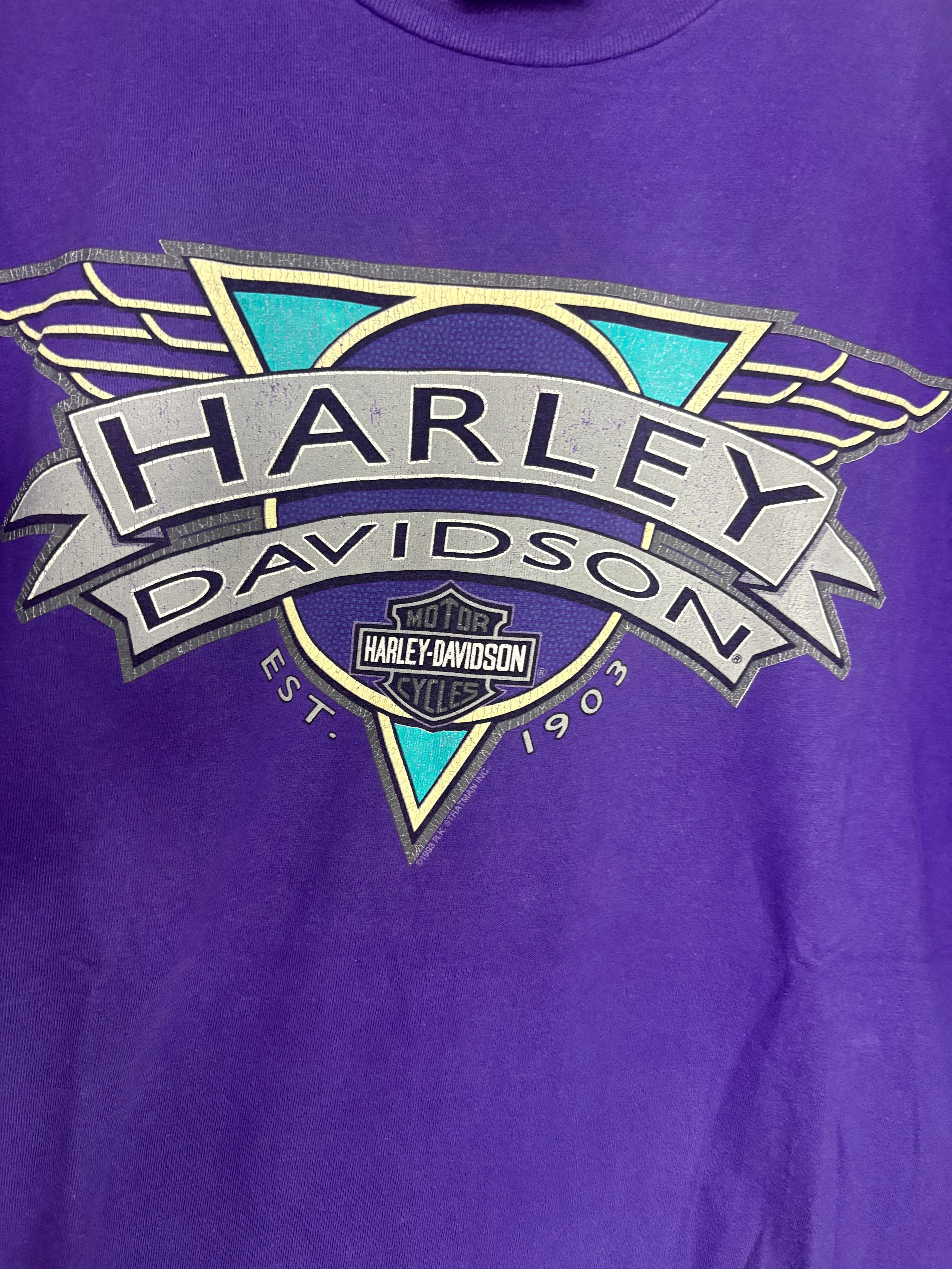 Harley Davidson 1993 Corning, NY T-Shirt