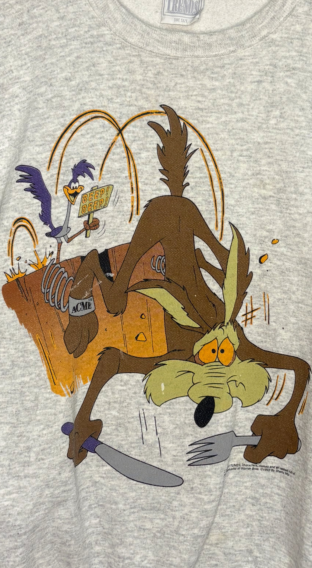 Wile E. Coyote & RoadRunner Looney Tunes 90's Vintage Crewneck