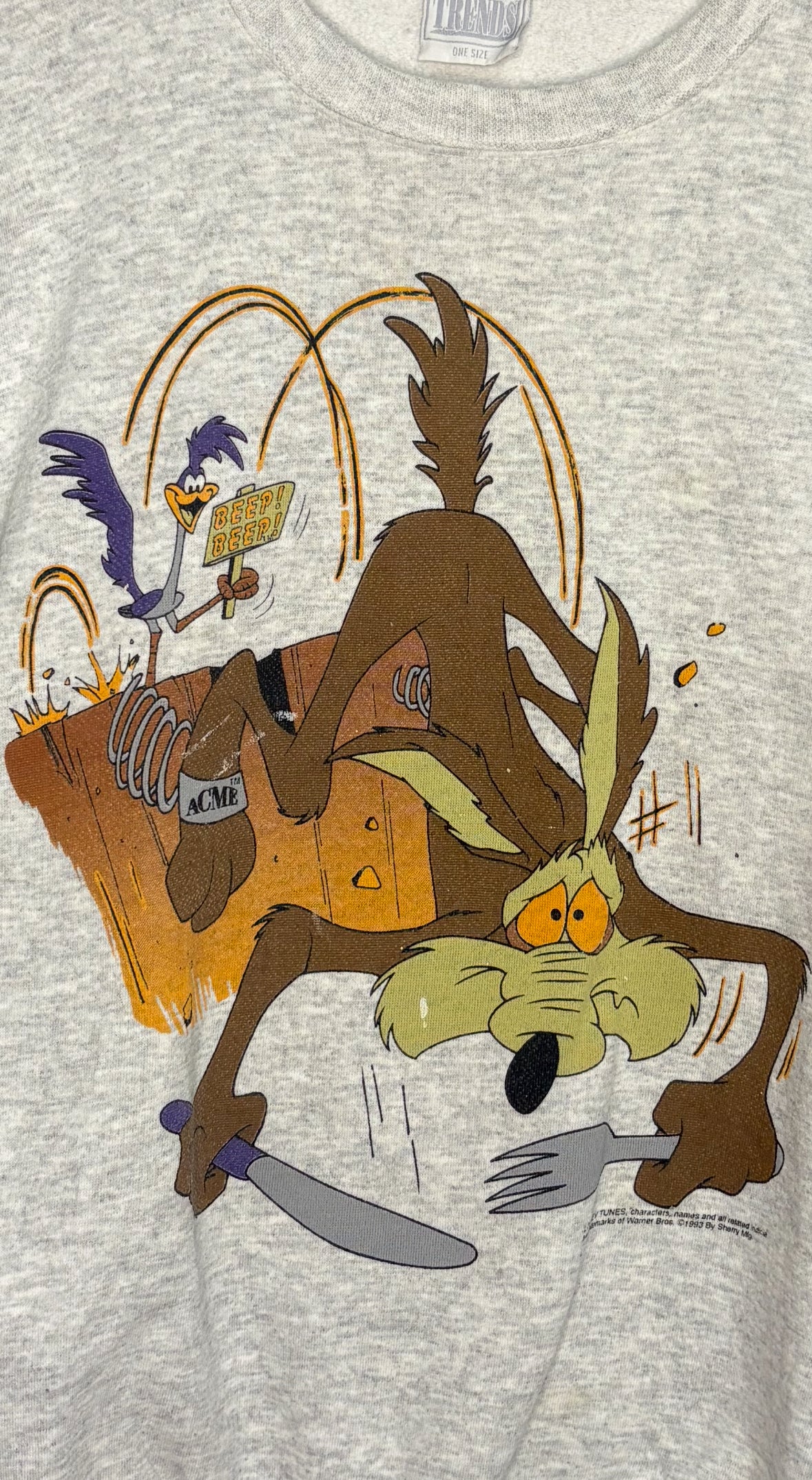 Wile E. Coyote & RoadRunner Looney Tunes 90's Vintage Crewneck